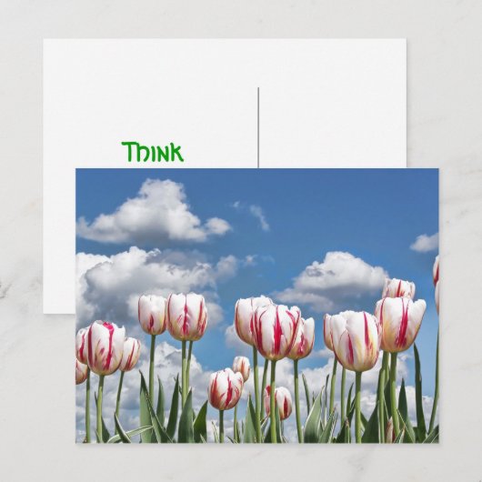 考え春! ポストカード (正面/裏面)