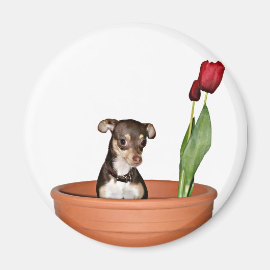 考え春! マグネット (正面)