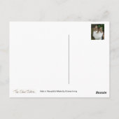 考え深いフェリックス ポストカード (裏面)