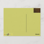 考古学的な発見：アッシリアのライオン狩りフレスコ、 ポストカード (裏面)