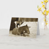 耐え忍ぶ馬に立つヤギ カード (黄色い花)