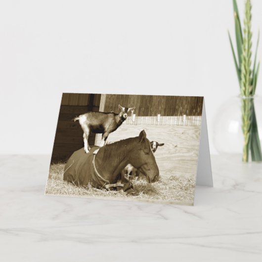 耐え忍ぶ馬に立つヤギ カード (正面)