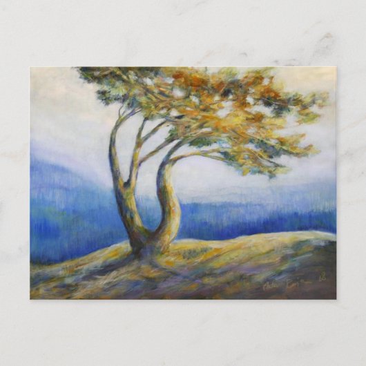 耐久性がある郵便はがき ポストカード (正面)