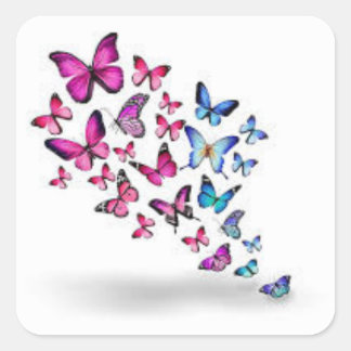 耐久性と耐候性 スクエアシール