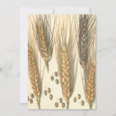 耐乾性小麦工場、ヴィンテージ農業 (正面)