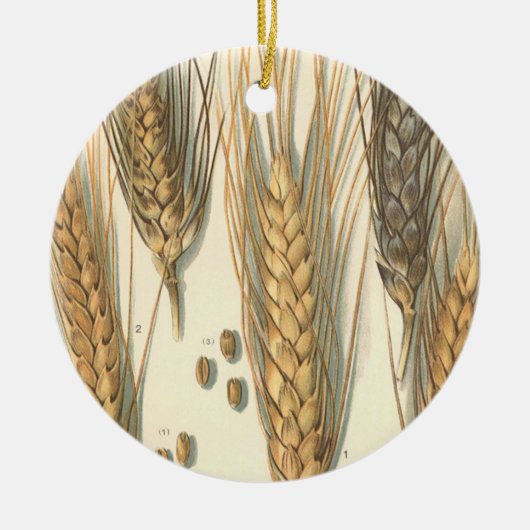 耐乾性小麦工場、ヴィンテージ農業 セラミックオーナメント (正面)