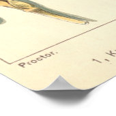 耐乾性小麦工場、ヴィンテージ農業 ポスター (角)