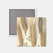 耐乾性小麦工場、ヴィンテージ農業 マグネット (正面/裏面)