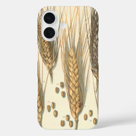 耐旱小麦の植物、ヴィンテージ農業 Case-Mate iPhoneケース (裏面)