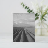 耕されたフィールド ポストカード (スタンド正面)