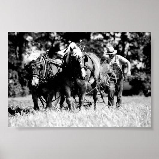 耕作 ポスター (正面)