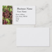 耕作、農産物および農業 名刺 (正面/裏面)