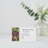 耕作、農産物および農業 名刺 (スタンド正面)