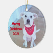 耳が出たかわいいおもしろい犬の写真 セラミックオーナメント (左)