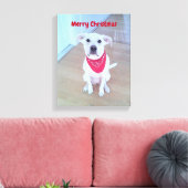耳が赤くおもしろいて可愛い犬の写真 キャンバスプリント (インサイチュ (リビング))