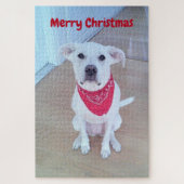 耳が赤くおもしろいて可愛い犬の写真 ジグソーパズル (縦)