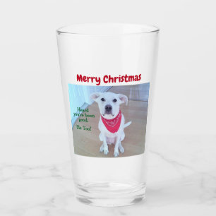 耳が赤くおもしろいて可愛い犬の写真 タンブラーグラス