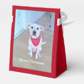 耳が赤くおもしろいて可愛い犬の写真 フェイバーボックス (裏面サイド)