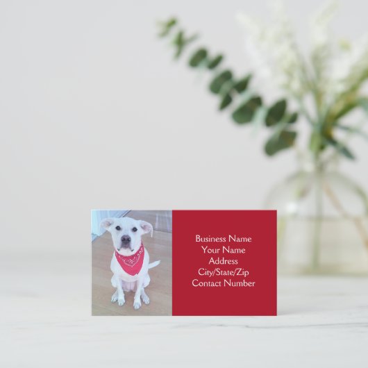 耳が赤くおもしろいて可愛い犬の写真 名刺 (スタンド正面)