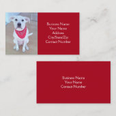 耳が赤くおもしろいて可愛い犬の写真 名刺 (正面/裏面)