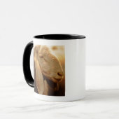 耳が長いヒツジのドロマイト、イタリア マグカップ (正面左)