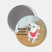 耳が飛び出すかわいいおもしろい犬の写真 マグネット (正面/裏面)