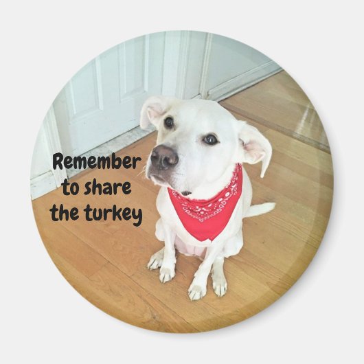 耳が飛び出すかわいいおもしろい犬の写真 マグネット (正面)