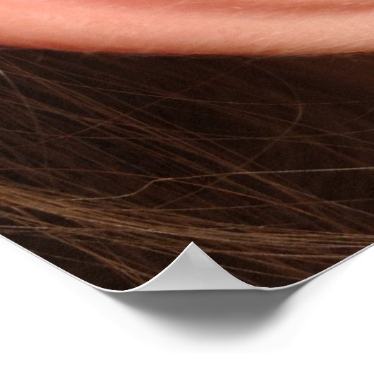 耳のポスター ポスター (角)