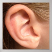 耳のポスター ポスター (正面)