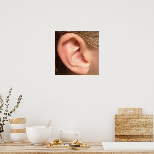 耳のポスター ポスター (キッチン)
