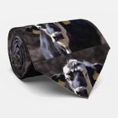 耳のラベルのネクタイ付き牛 ネクタイ (ロール)