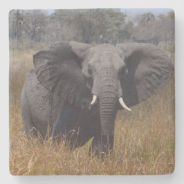 耳を出した象。 ストーンコースター