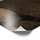 耳を背にして立つドーパー・ヒツジ フォトプリント            (角)