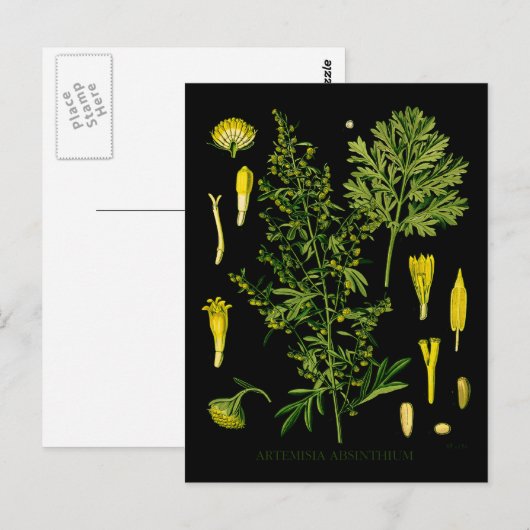 耳下腺痛 ポストカード (正面/裏面)