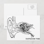 耳図 ポストカード (正面/裏面)