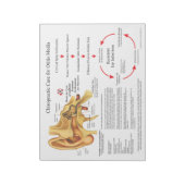 耳気に感染ハンドアウト用カイロプラクティック ノートパッド (回転)