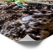 耳素晴らし無トカゲ ポスター (角)