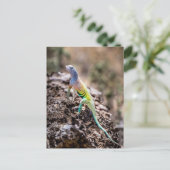 耳素晴らし無トカゲ ポストカード (スタンド正面)