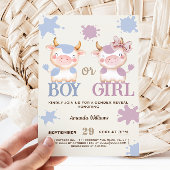 聖い牛ピンクの青の性別が明らかになる 招待状