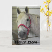 聖い牛ヤングフィリー***ハッピーバースデー*** カード (黄色い花)