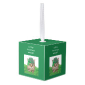 聖おもしろいパトリックの日の猫 キューブオーナメント (裏面アングル)