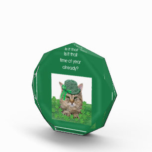聖おもしろいパトリックの日の猫 フォトブロック