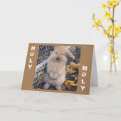 **聖なるモリーあなたはもう"13"になることができない** カード (黄色い花)