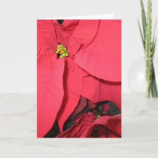 聖なる天使たち カード (正面)