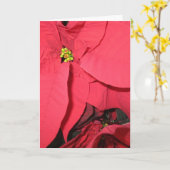 聖なる天使たち カード (黄色い花)