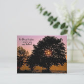 聖なる書物、 経典の日没の木の詩 シーズンポストカード (スタンド正面)