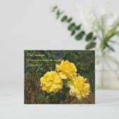 聖なる書物、 経典はがき私は世界を乗り越えた ポストカード (スタンド正面)