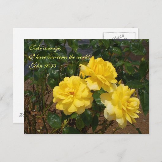 聖なる書物、 経典はがき私は世界を乗り越えた ポストカード (正面/裏面)