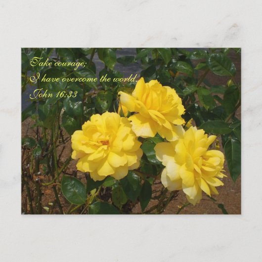 聖なる書物、 経典はがき私は世界を乗り越えた ポストカード (正面)