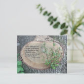 聖なる書物、 経典はがき ポストカード (スタンド正面)